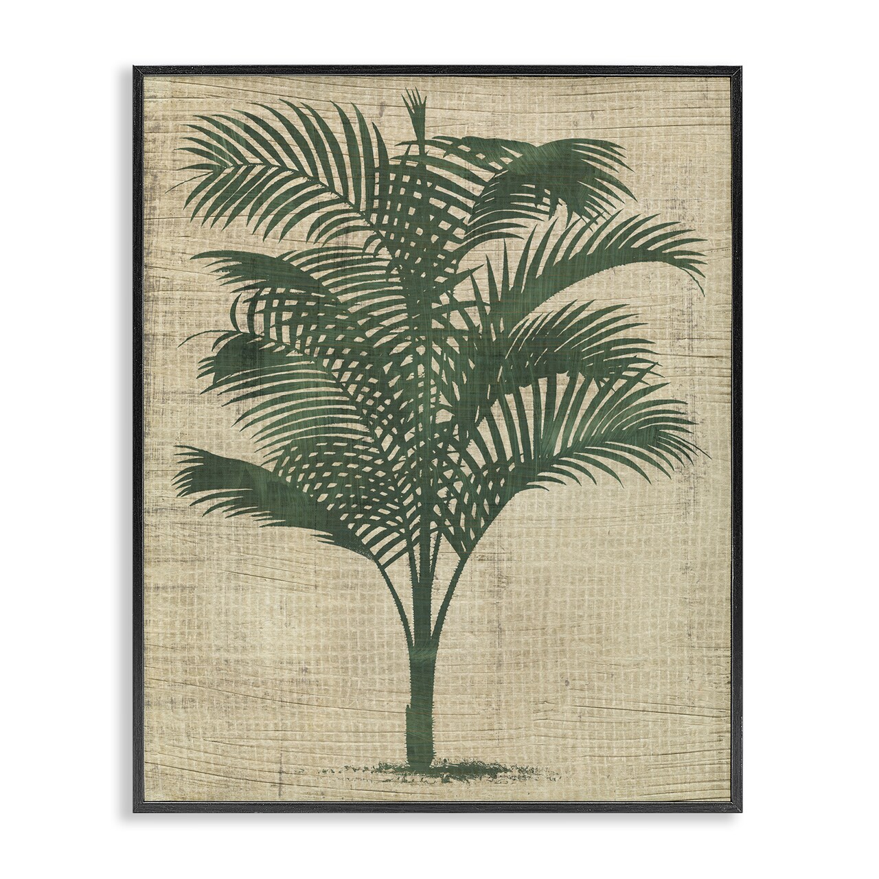 Stupell Industries Vintage Palm Plant Framed Giclee Wall Art Design by June Erica Vess